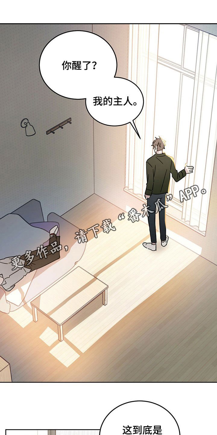 第14章：大嘴巴