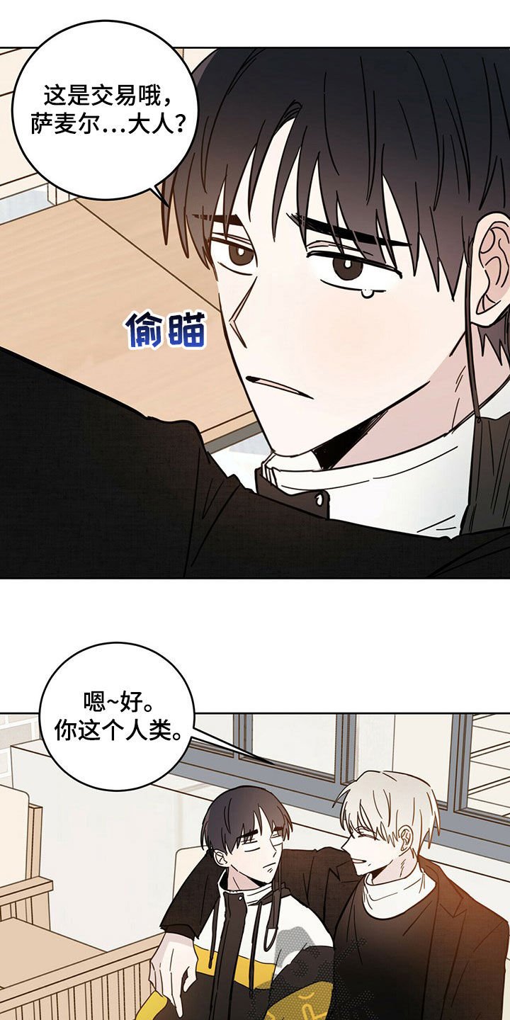第15章：陷阱