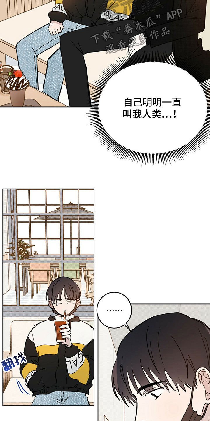 第15章：陷阱