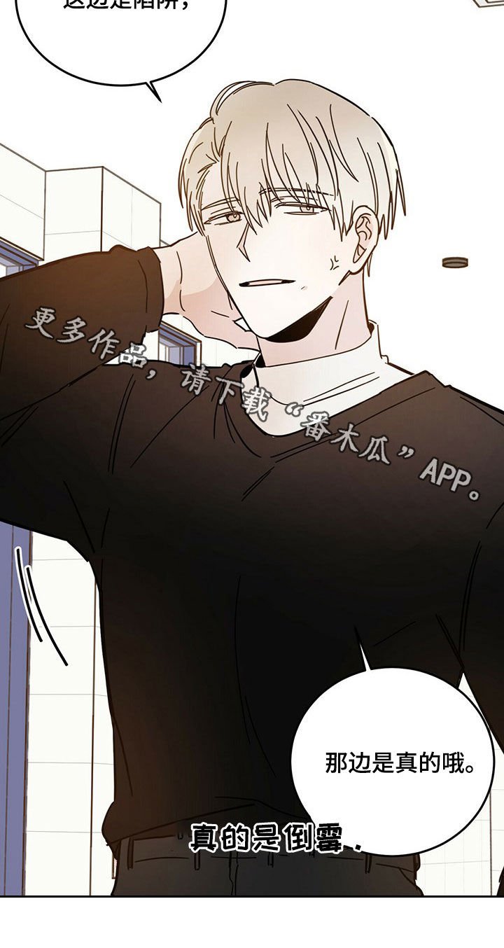 第15章：陷阱