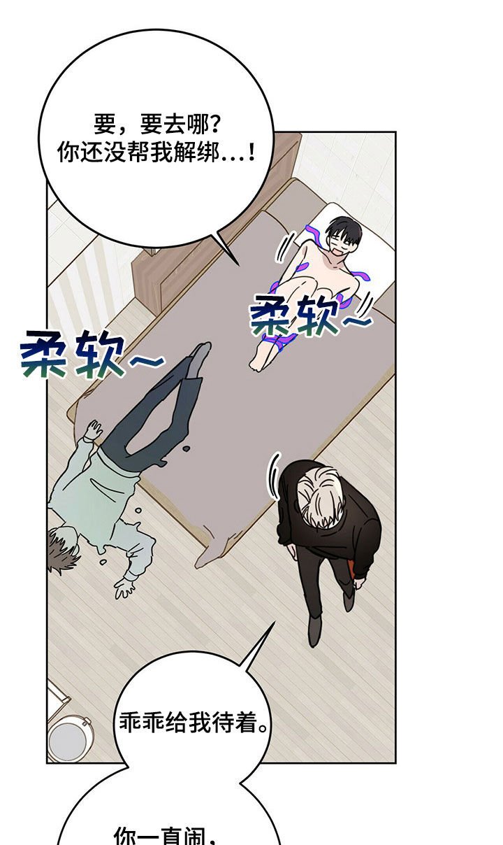 第19章：补偿