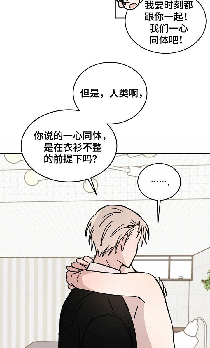 第19章：补偿