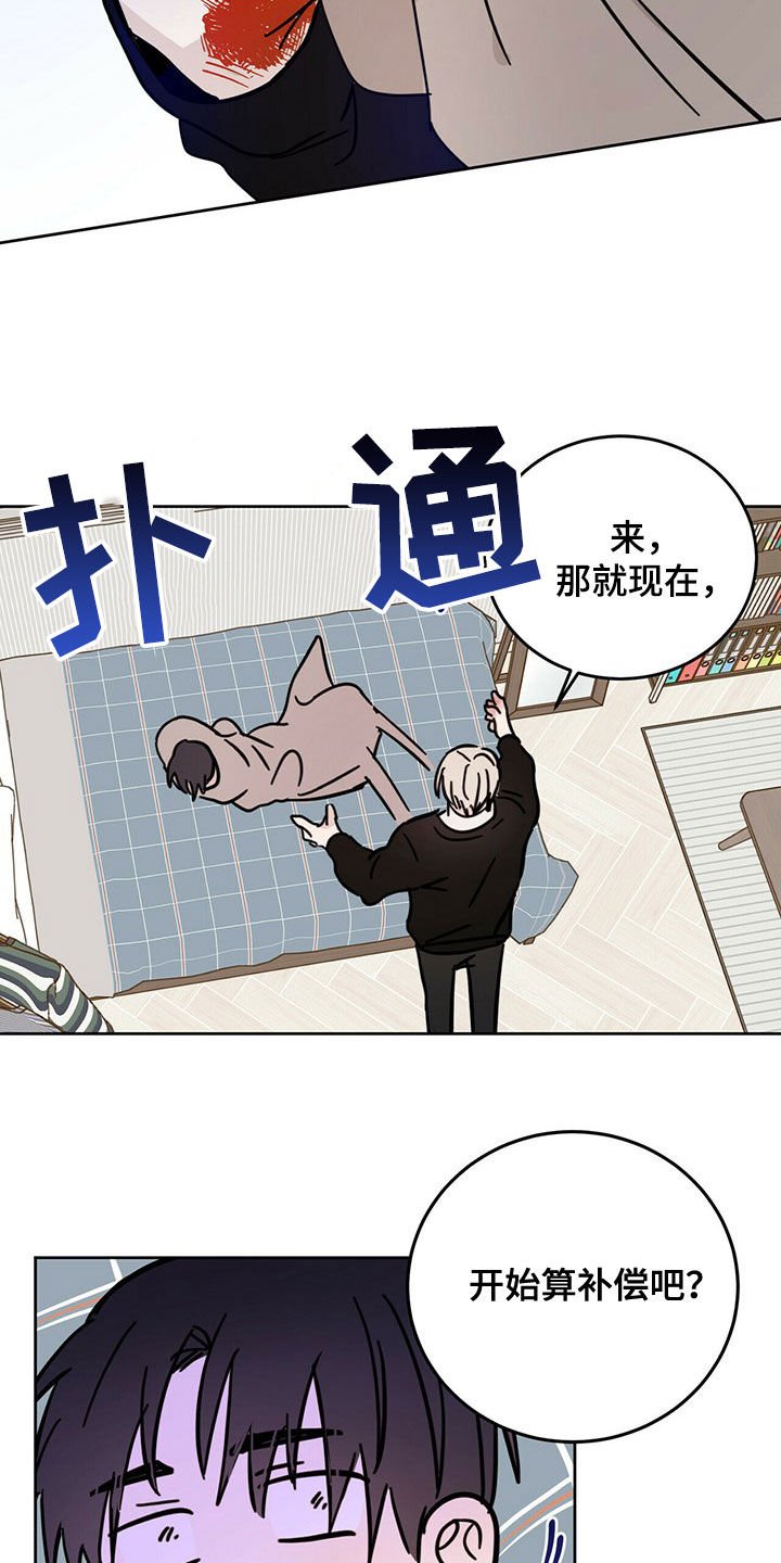 第19章：补偿