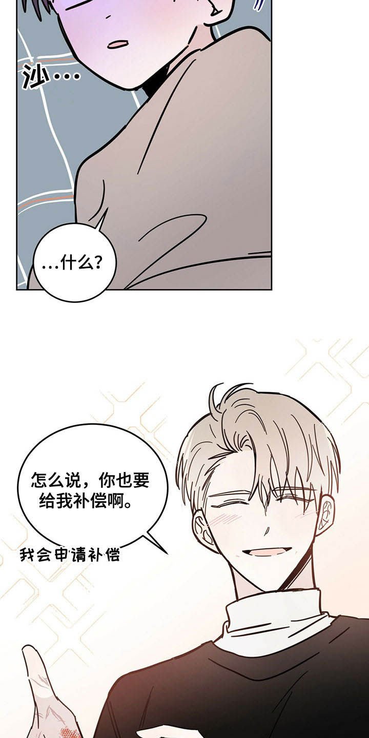 第19章：补偿