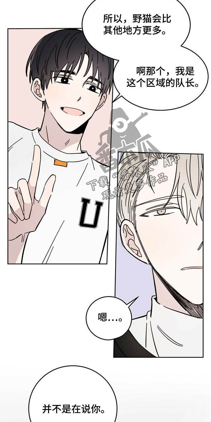 第20章：负责