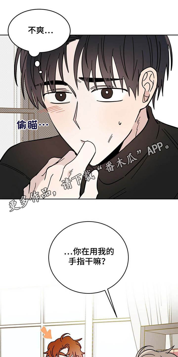第23章：宠物捉迷藏