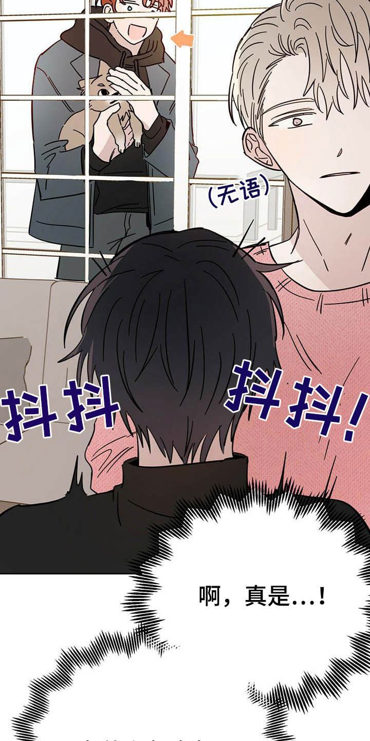 第23章：宠物捉迷藏