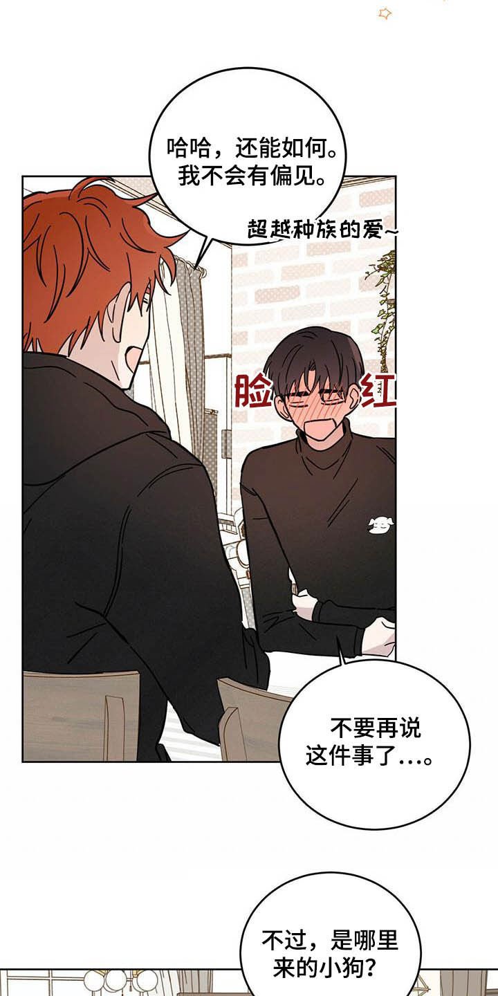 第23章：宠物捉迷藏