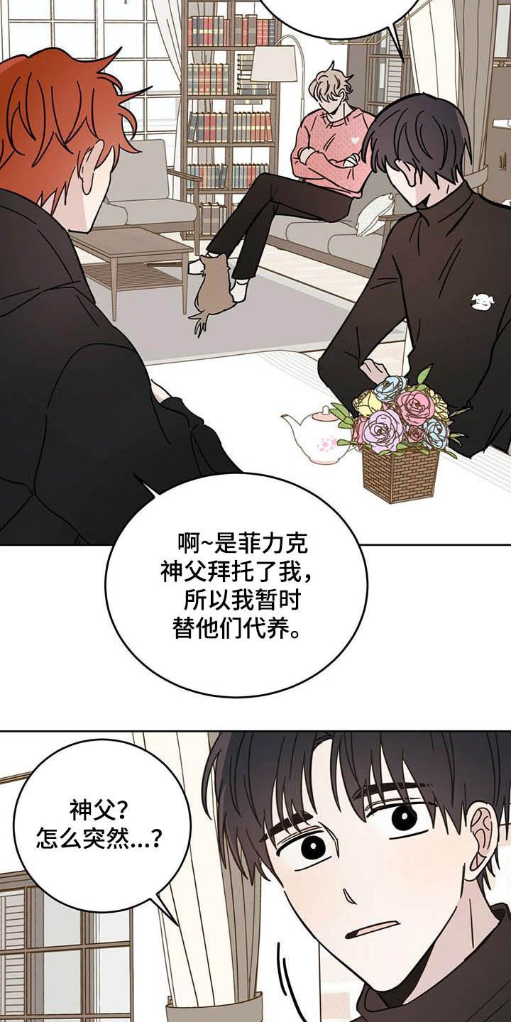 第23章：宠物捉迷藏