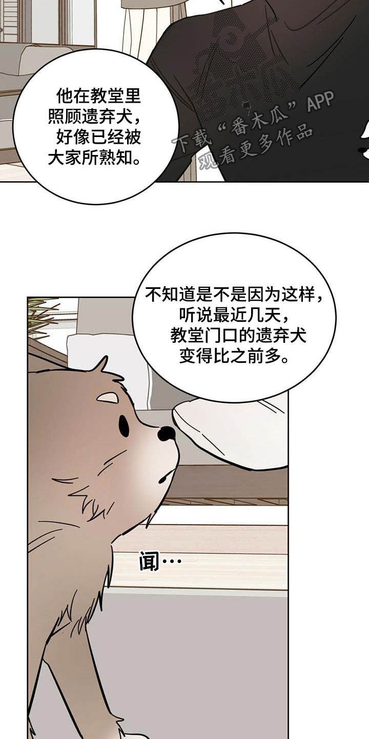 第23章：宠物捉迷藏