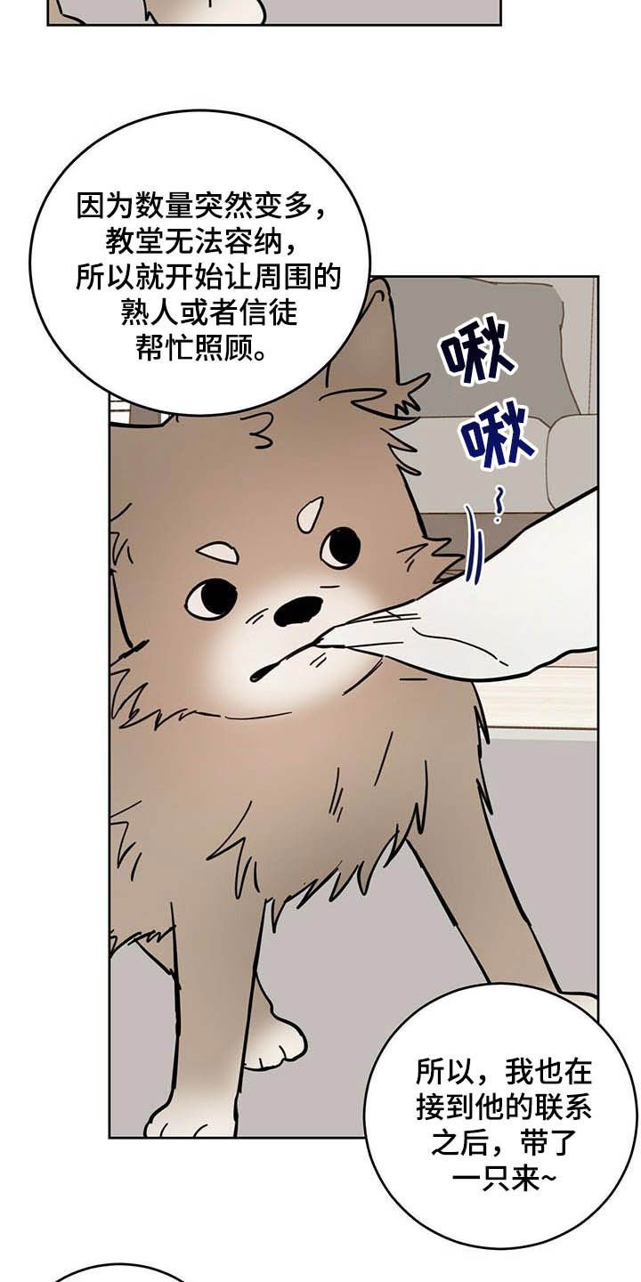 第23章：宠物捉迷藏