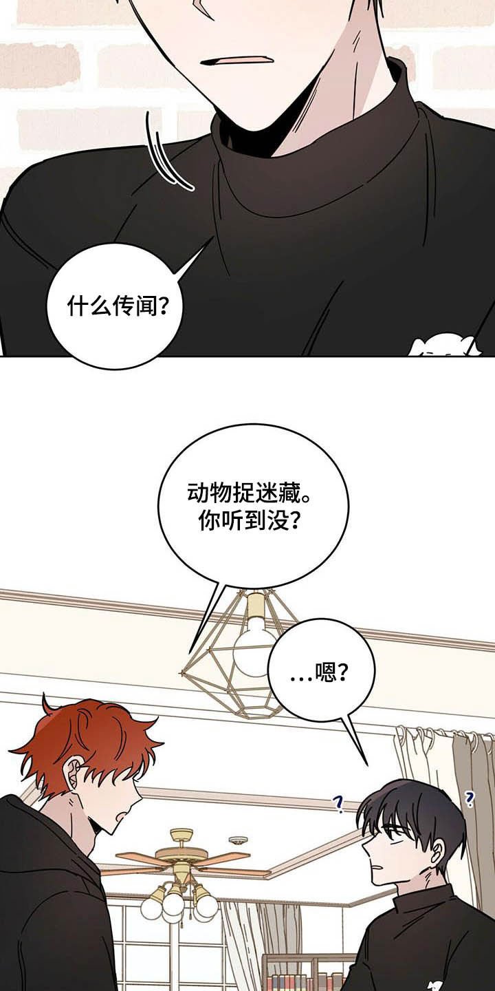 第23章：宠物捉迷藏
