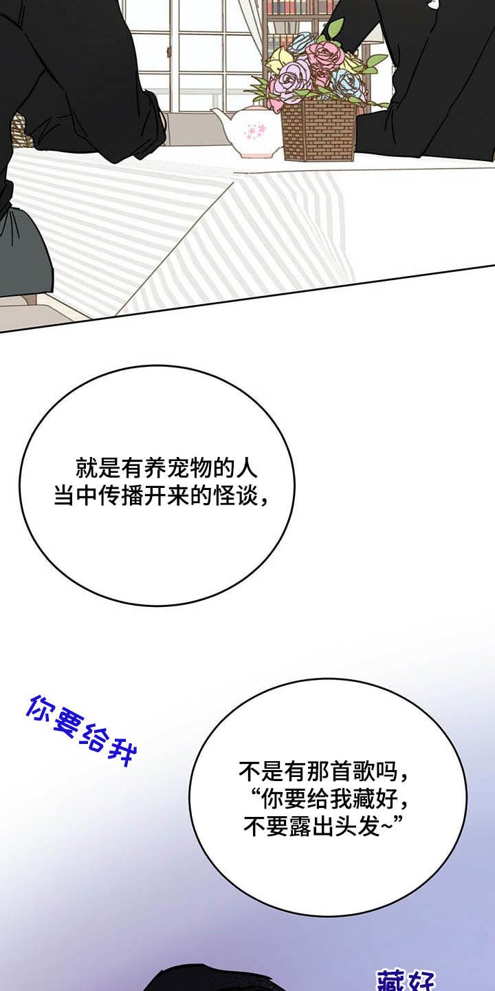 第23章：宠物捉迷藏