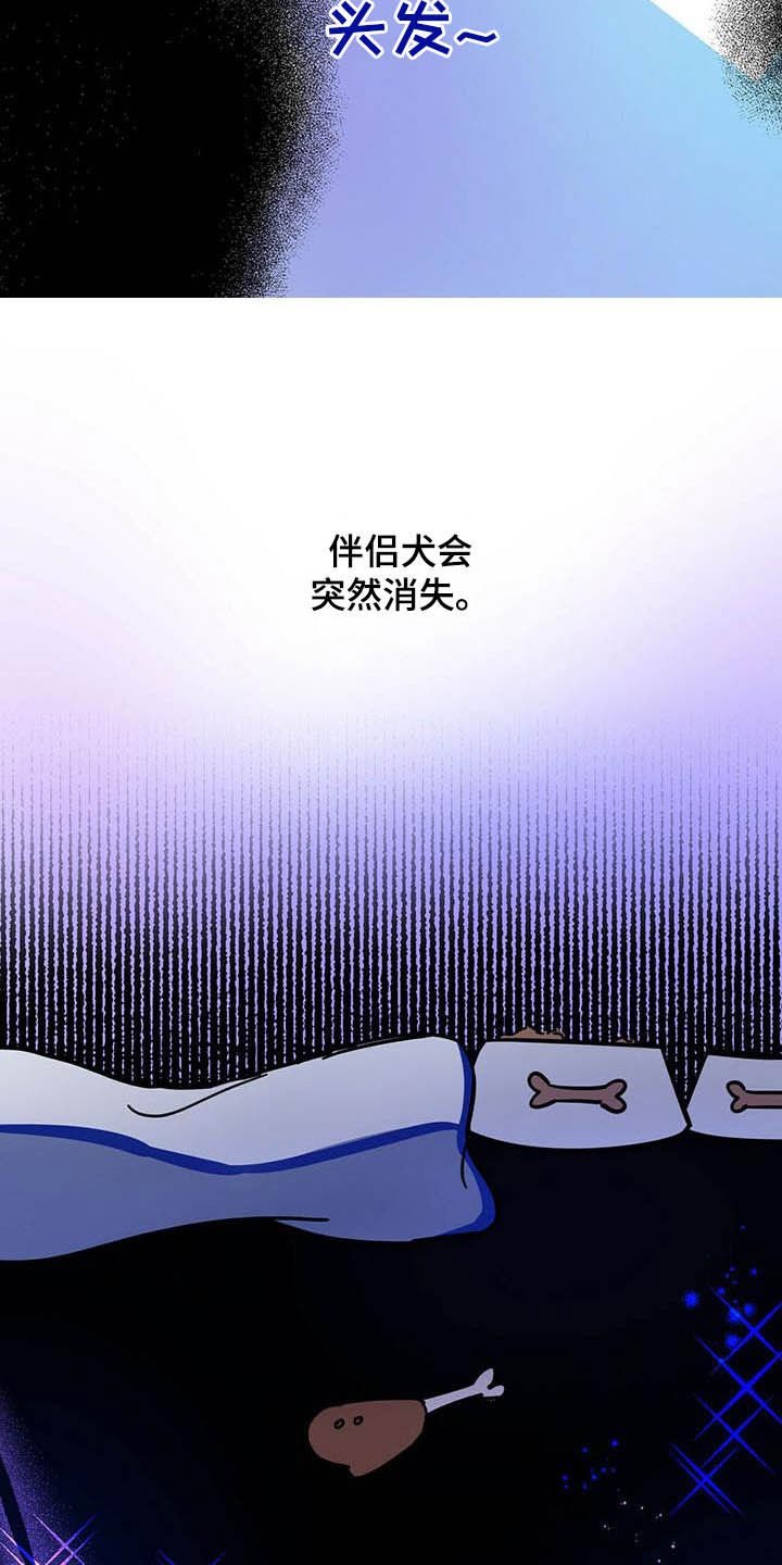 第23章：宠物捉迷藏