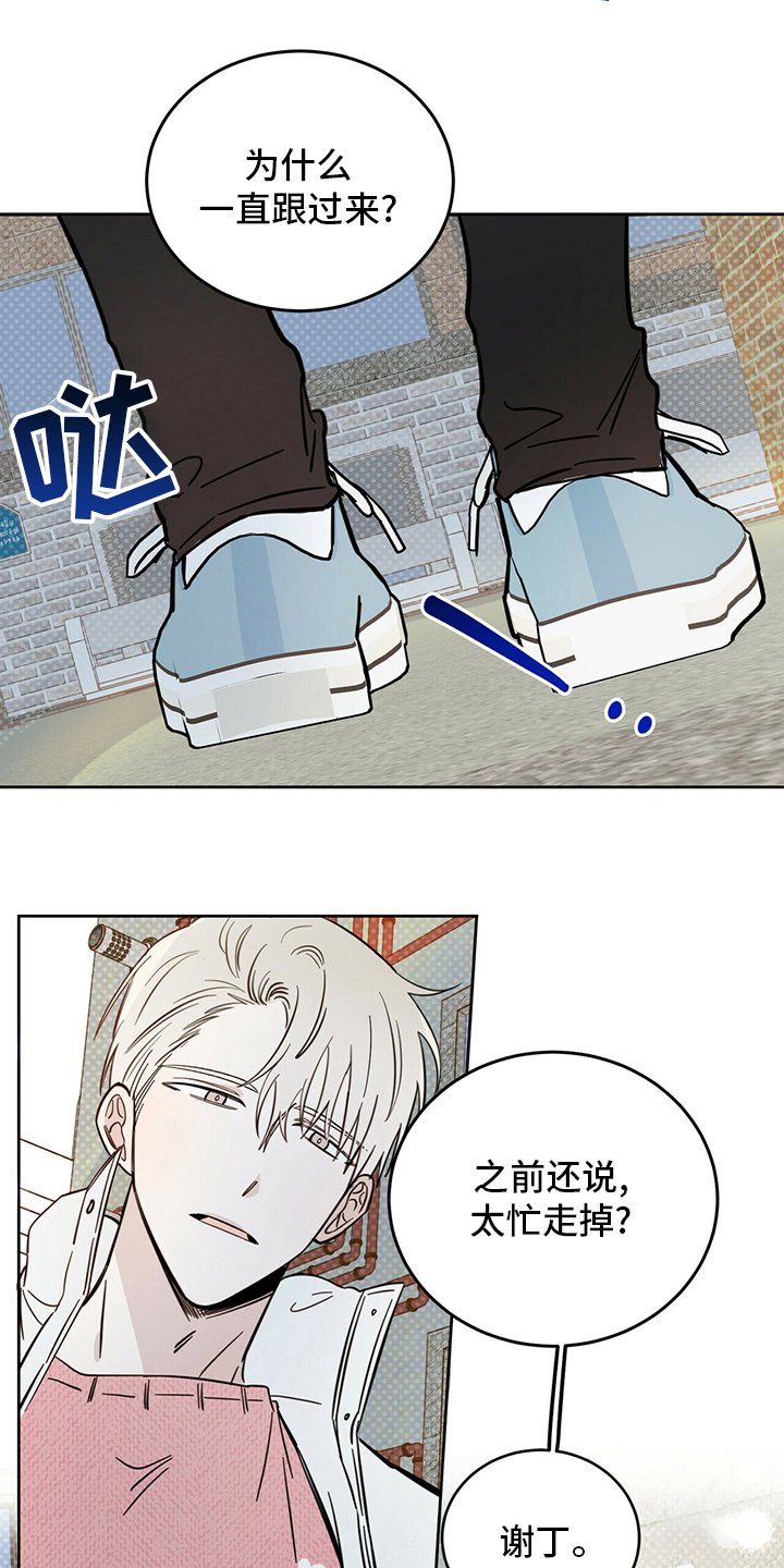 第26章：动物