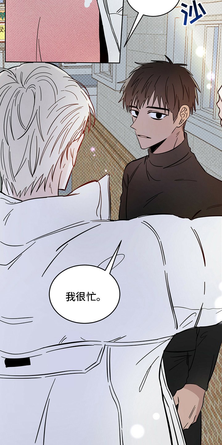 第26章：动物
