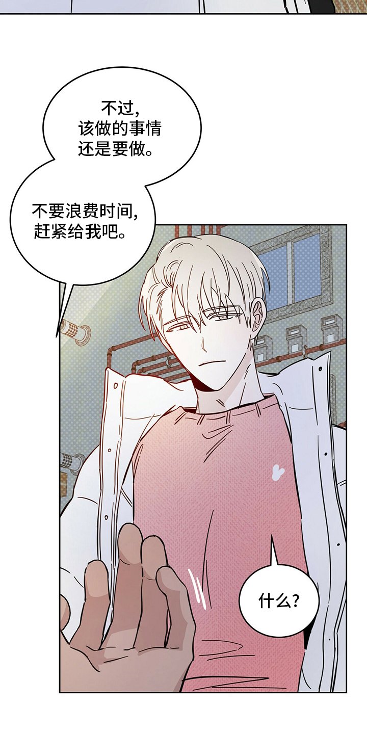 第26章：动物