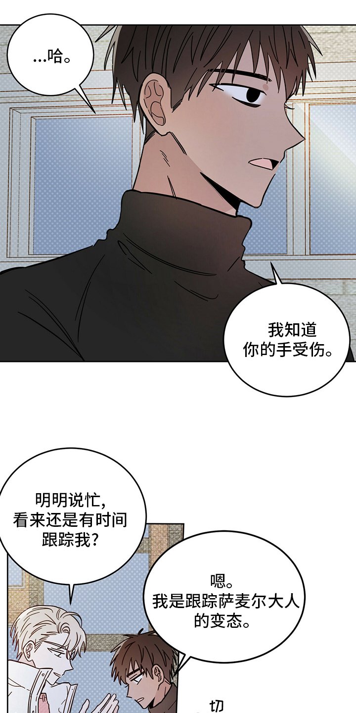 第26章：动物