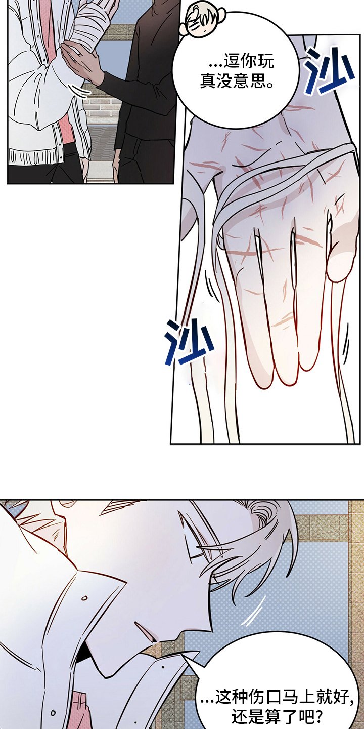 第26章：动物