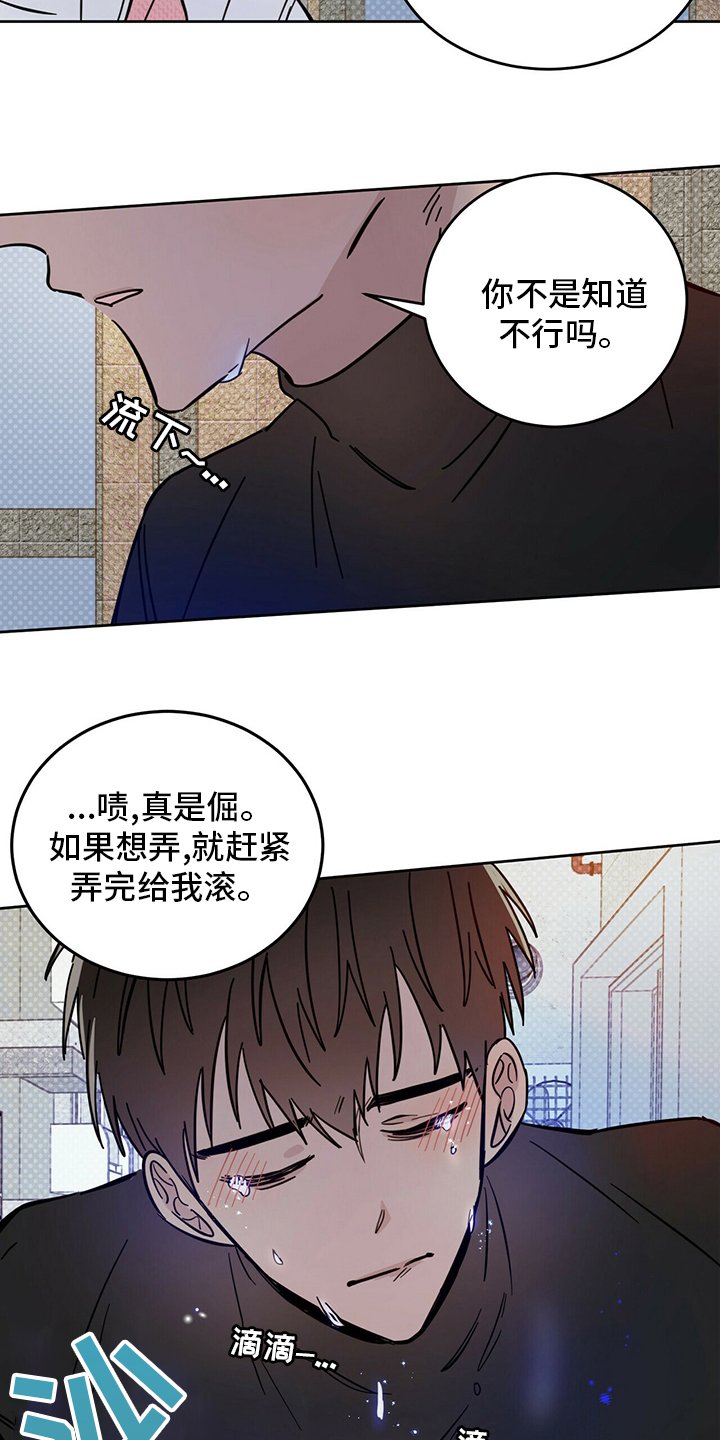 第26章：动物