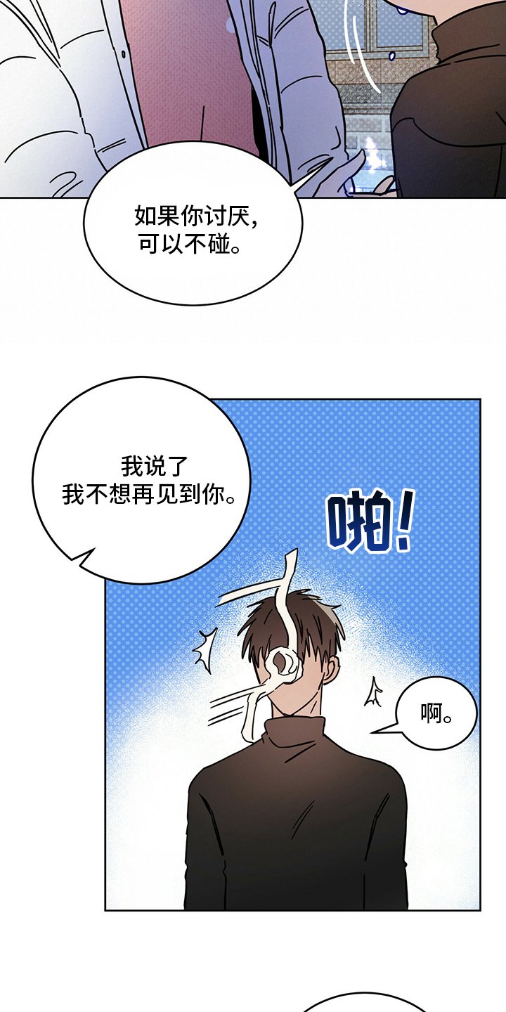 第26章：动物