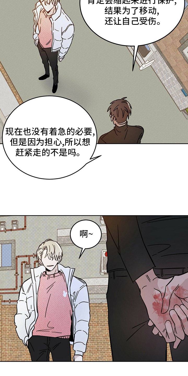 第26章：动物