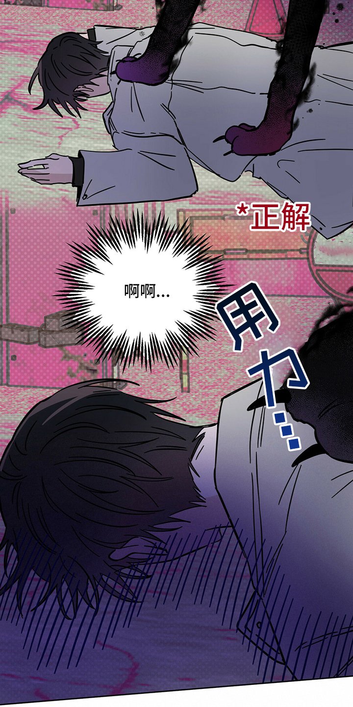 第26章：动物