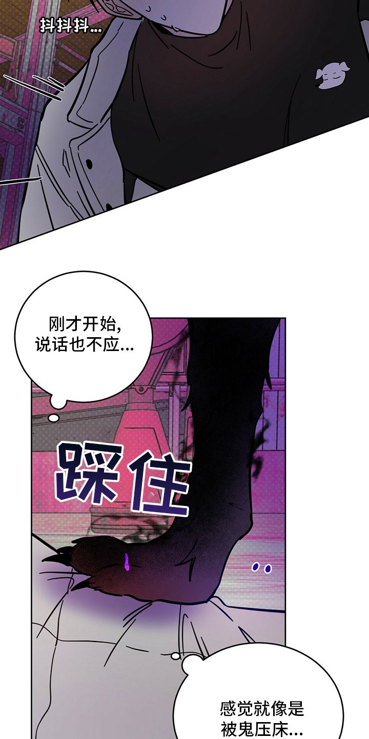 第26章：动物