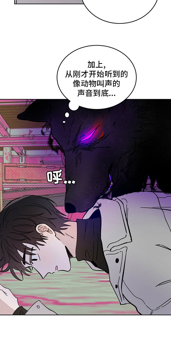 第26章：动物