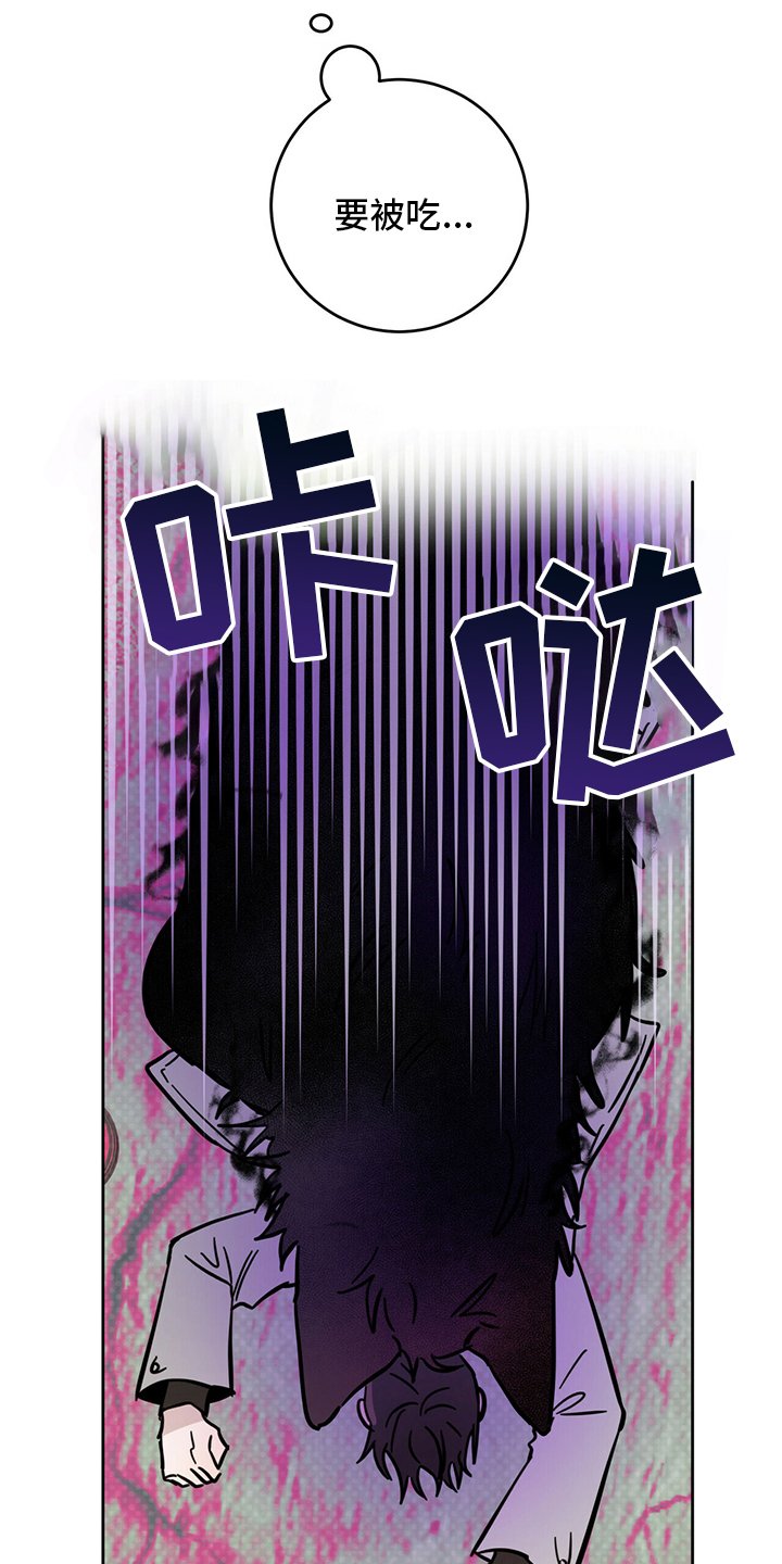 第26章：动物