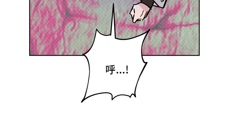 第26章：动物