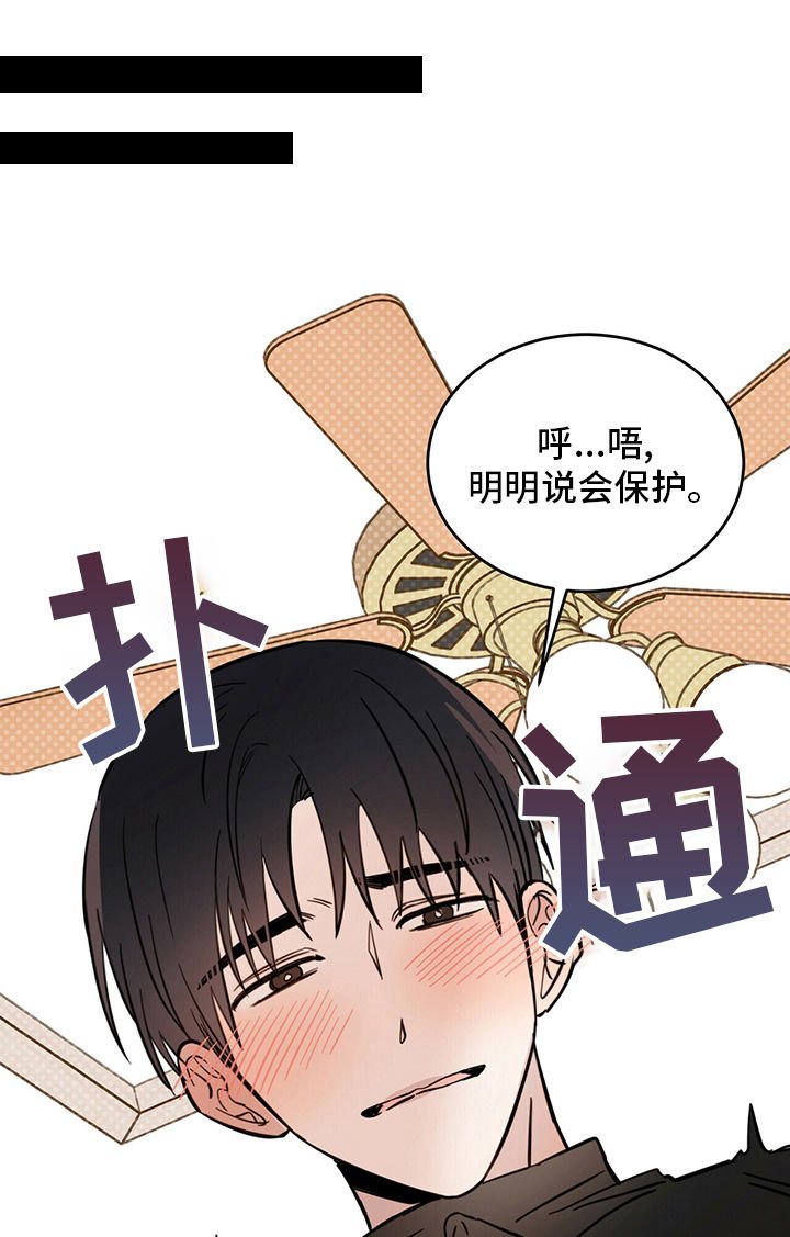 第29章：圣骑士