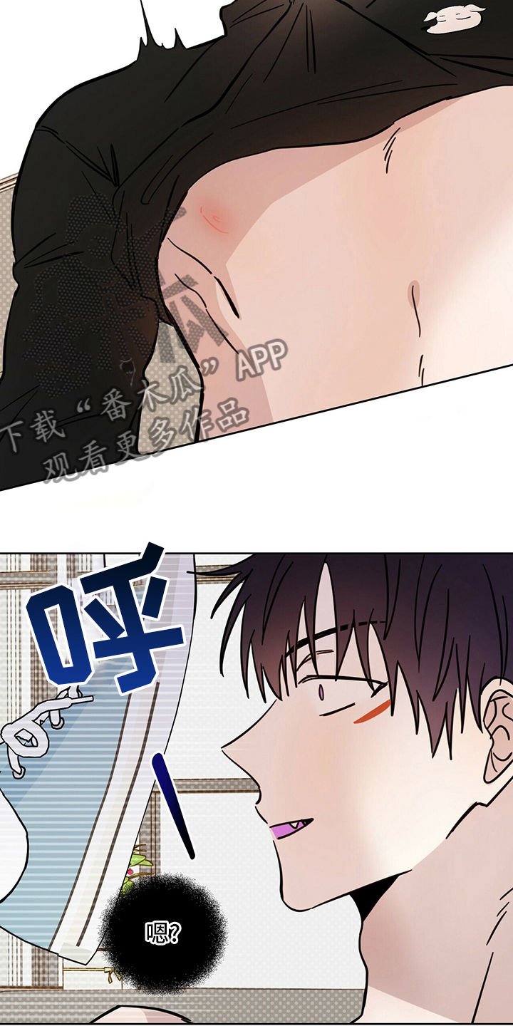 第29章：圣骑士
