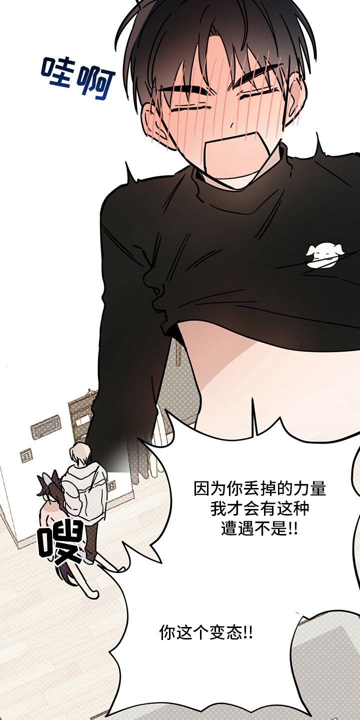 第29章：圣骑士