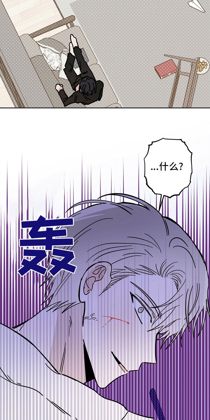 第29章：圣骑士
