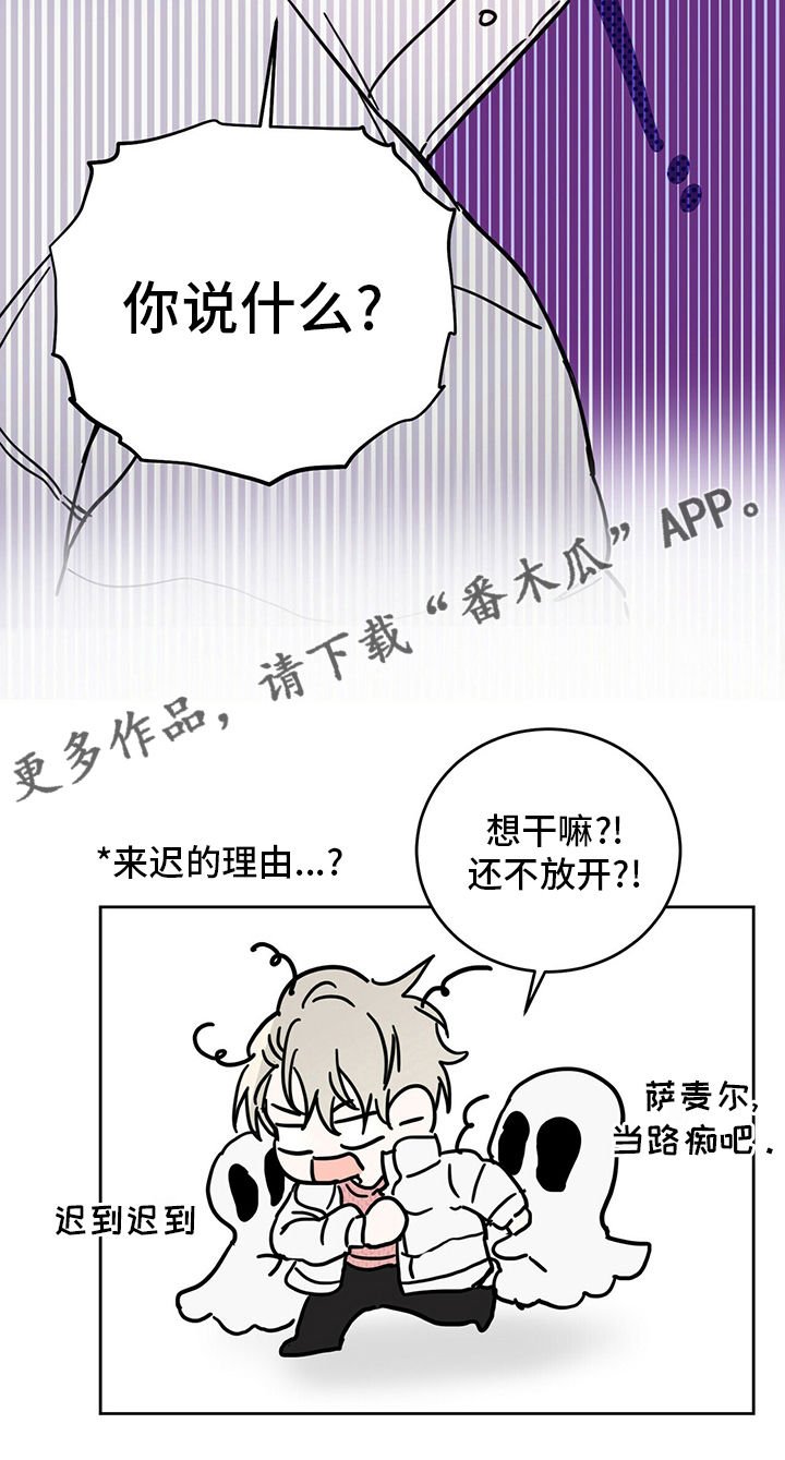 第29章：圣骑士