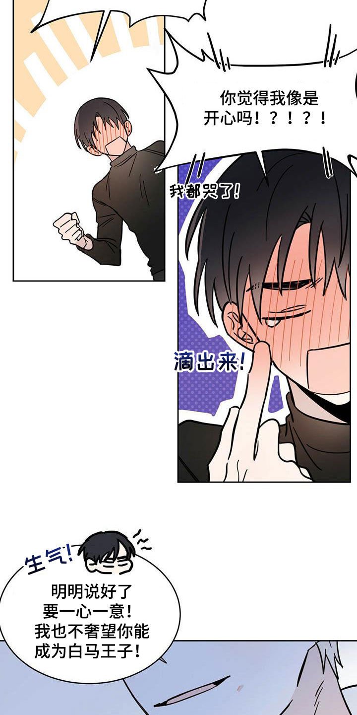 第29章：圣骑士