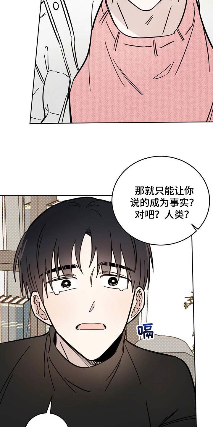 第29章：圣骑士