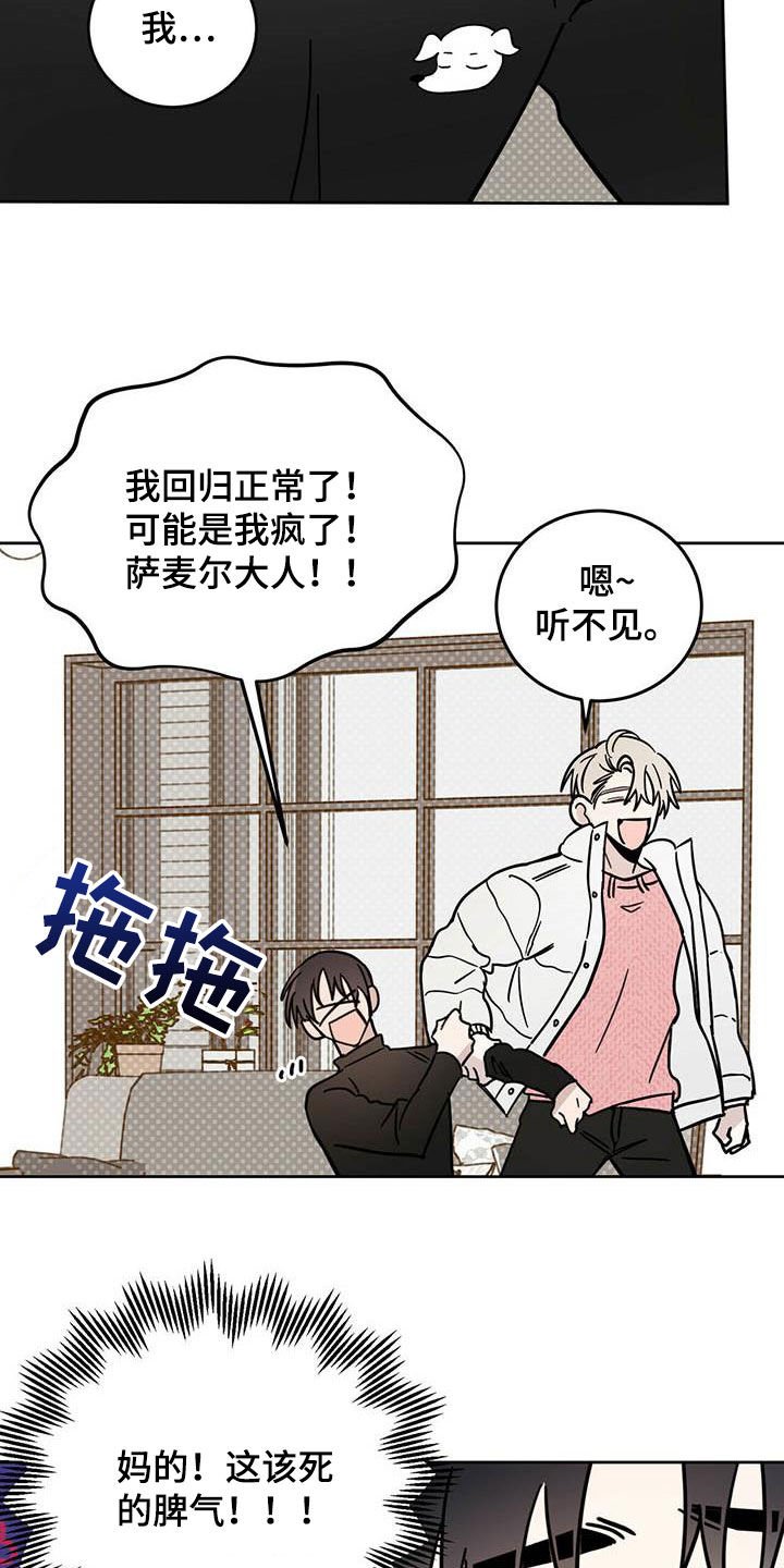 第29章：圣骑士