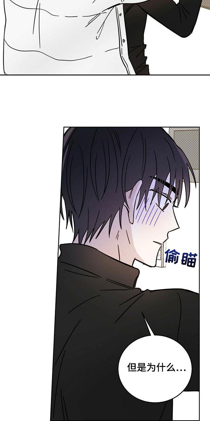 第29章：圣骑士