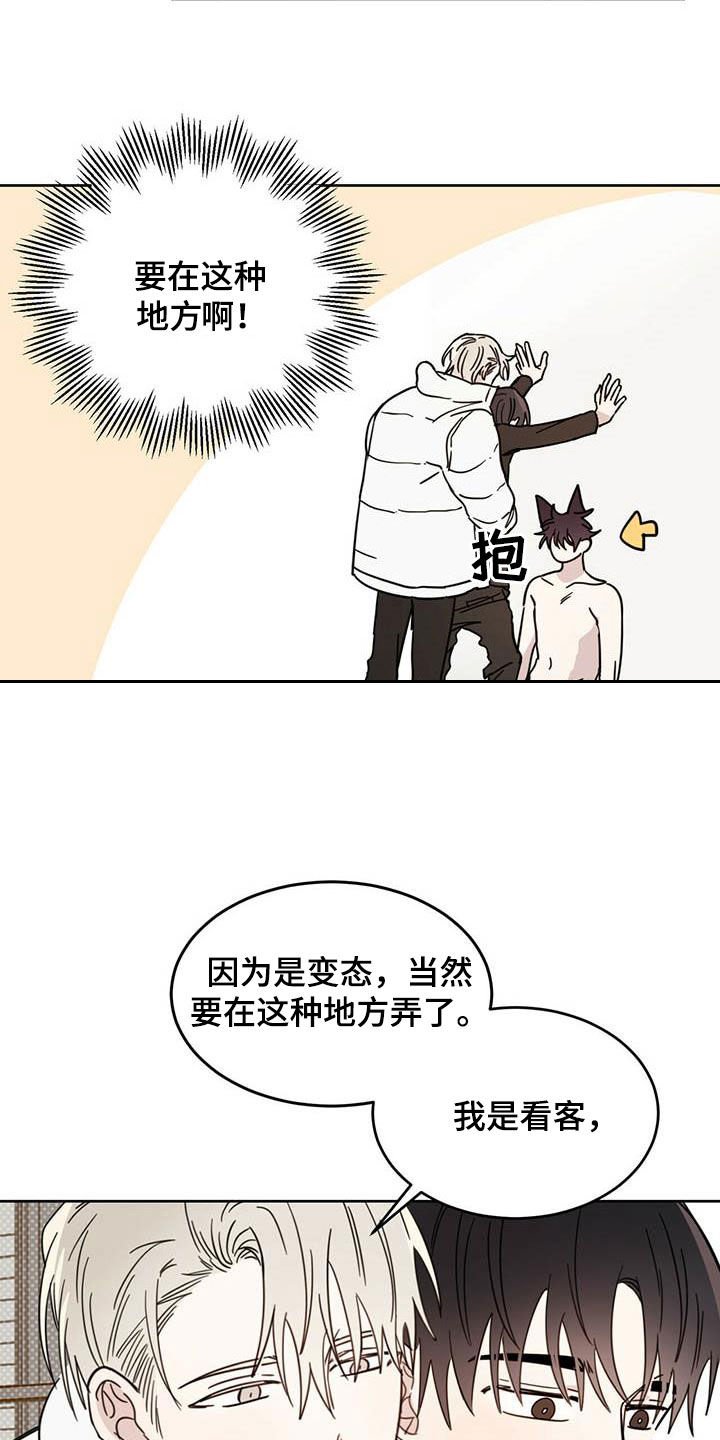 第29章：圣骑士