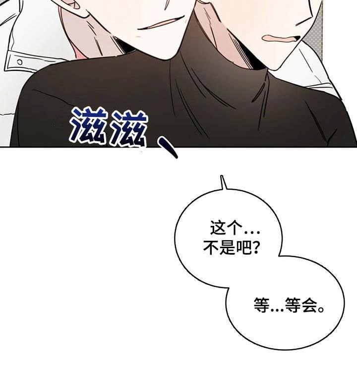 第29章：圣骑士
