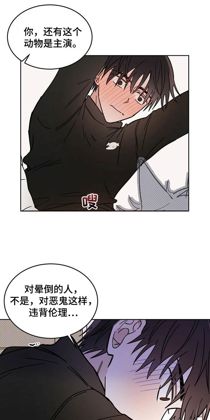 第29章：圣骑士
