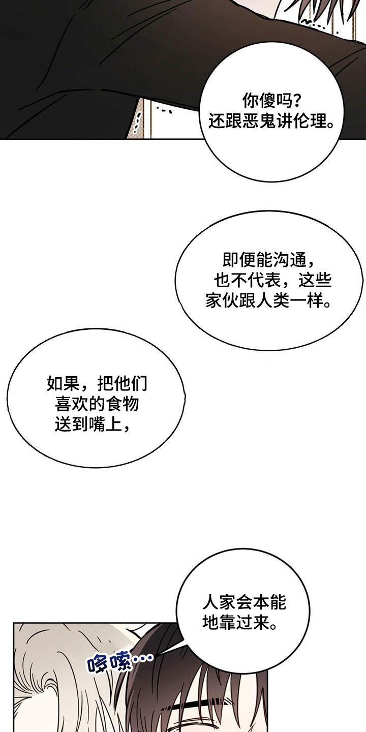 第29章：圣骑士