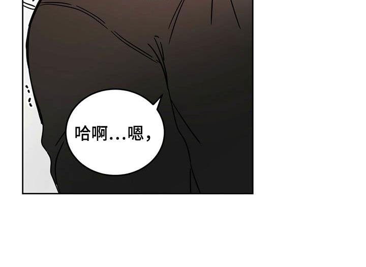 第29章：圣骑士