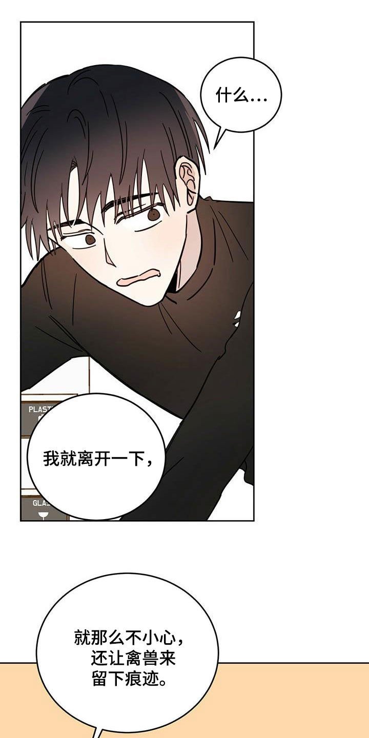 第29章：圣骑士
