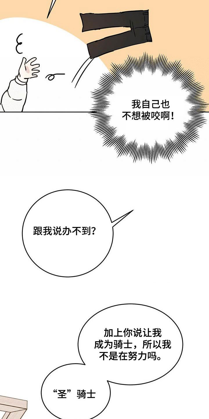 第29章：圣骑士