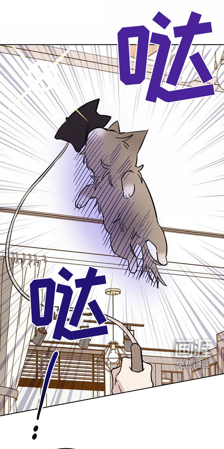 第31章：胡说八道