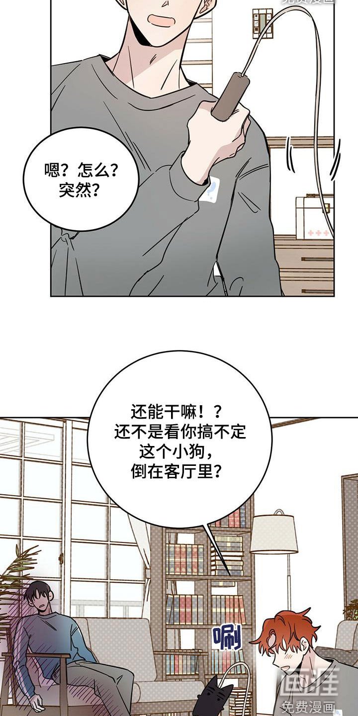 第31章：胡说八道