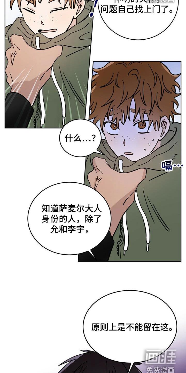 第36章：原则